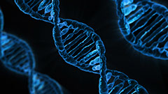 Ilustration of a simulated genetic code double helix Ilustration of a simulated genetic code double helix as a suggestion of the profound, molecular level changes as causes for the common ilnesses