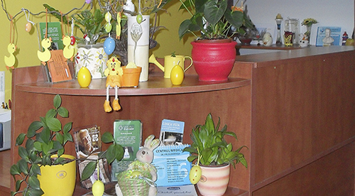 Helpdesk area with an entertaining flower and objetcs arrangemnet Helpdesk area with an entertaining flower and objetcs arrangemnet